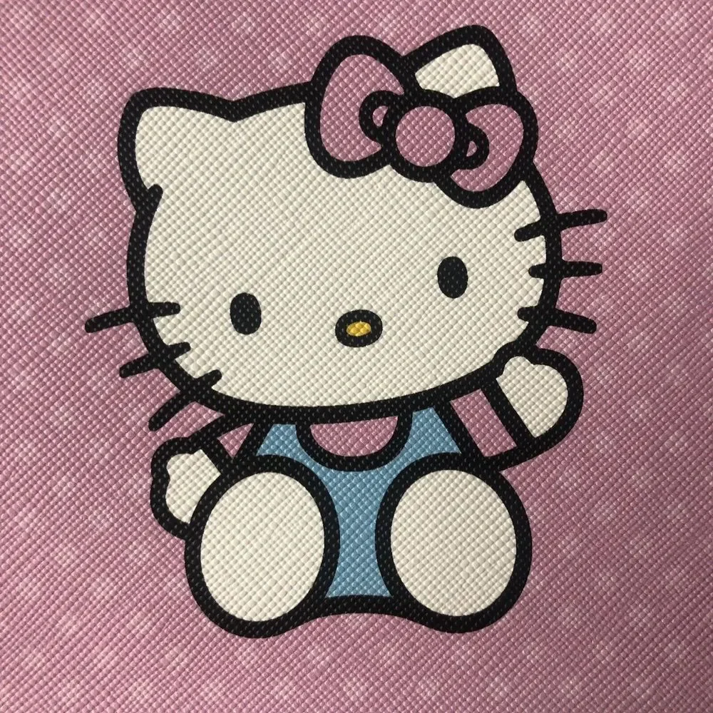 Sanrio Hello Kitty Pencil Pouch Pink Zip Up Hand Bag Pen Case 8.75
